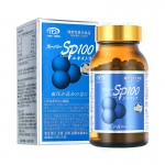 日本IT 超級SP100