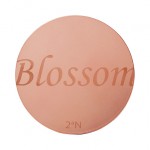 2aN 11色花瓣眼影盤  (Rosely Blossom) Eyeshadow Palette 9.5g