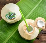 CXL1 Coco The Parrot特大泰國椰青 (一set三個)