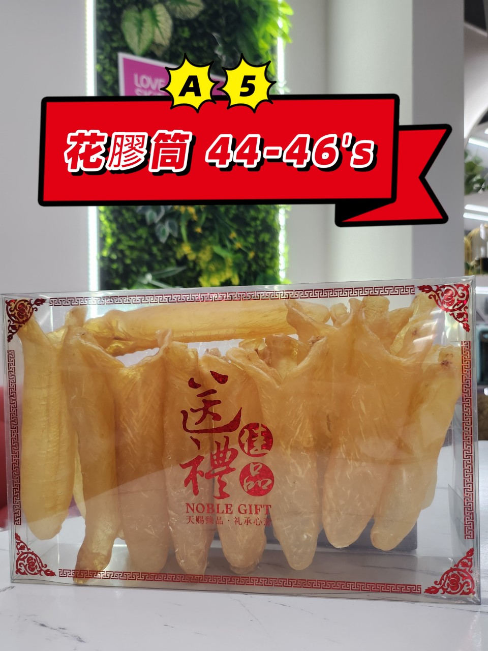 A5 非洲花膠筒 （44頭）