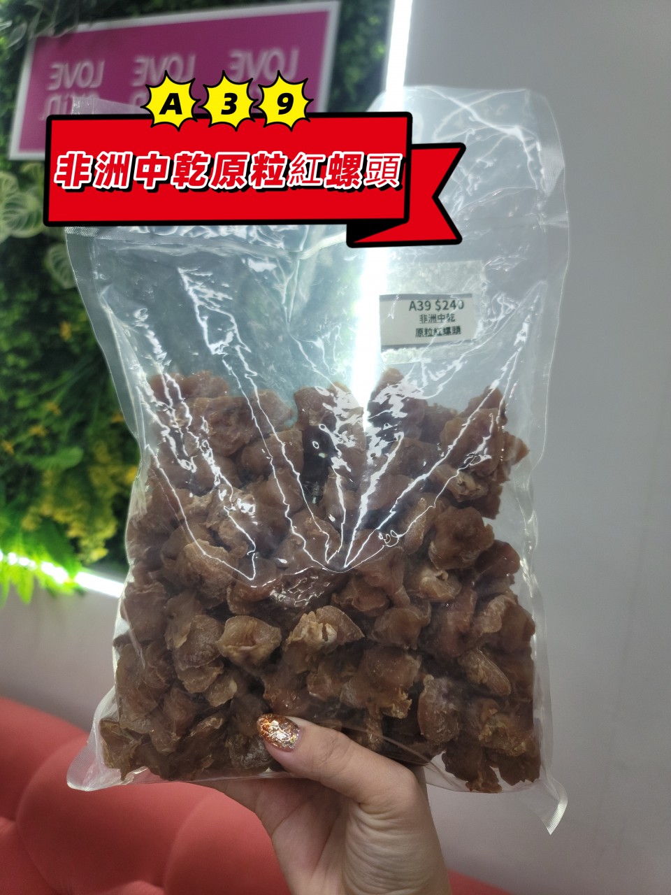 A39 大碼非洲原粒紅螺頭