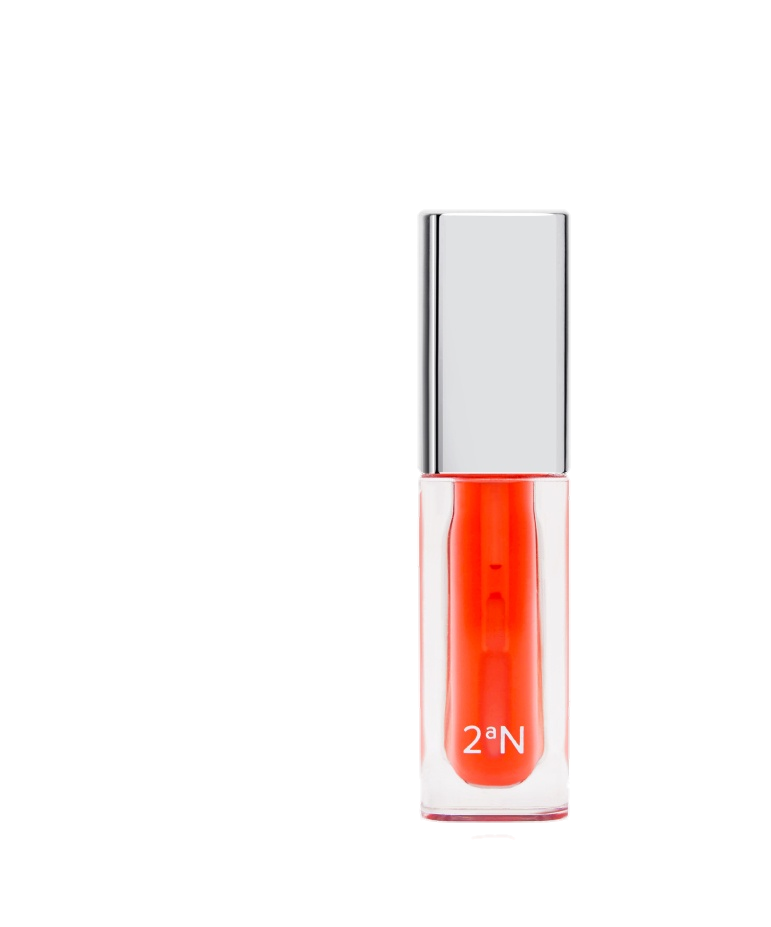 2aN Lip Oil 芙蓉花色唇油 fall in hibiscus 3g