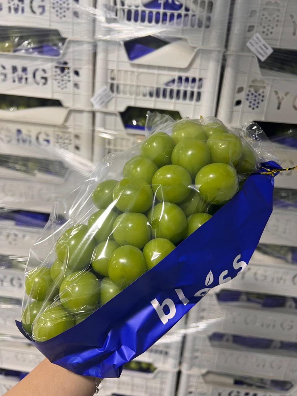 關鍵字Y1Bless晴王提子（一籃三房）