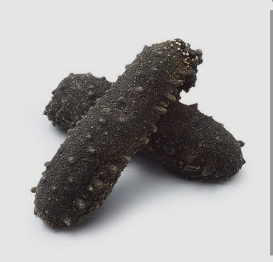 S3 關西刺參 半斤