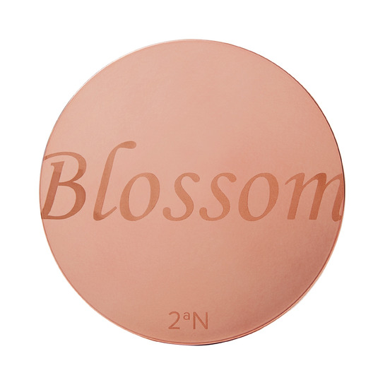 2aN 11色花瓣眼影盤  (Rosely Blossom) Eyeshadow Palette 9.5g